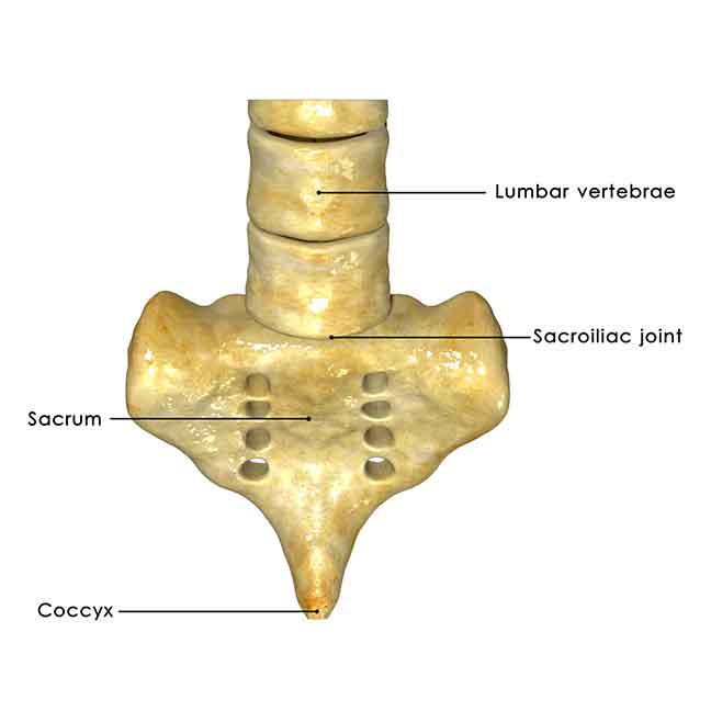 Sacro-iliac-Joint-Pain