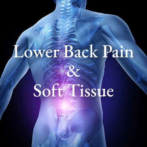 lower-back-pain-soft-tissues