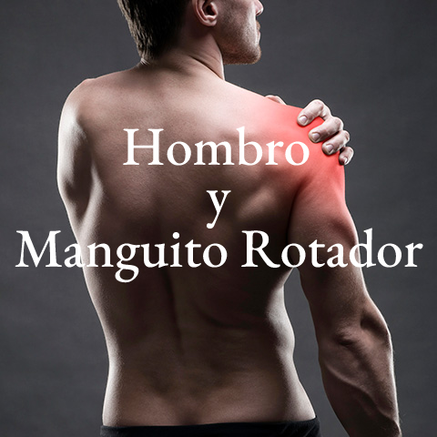 Hombro-manguito-rotador