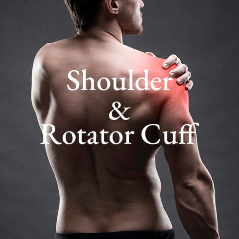 Shoulder-rotator-cuff